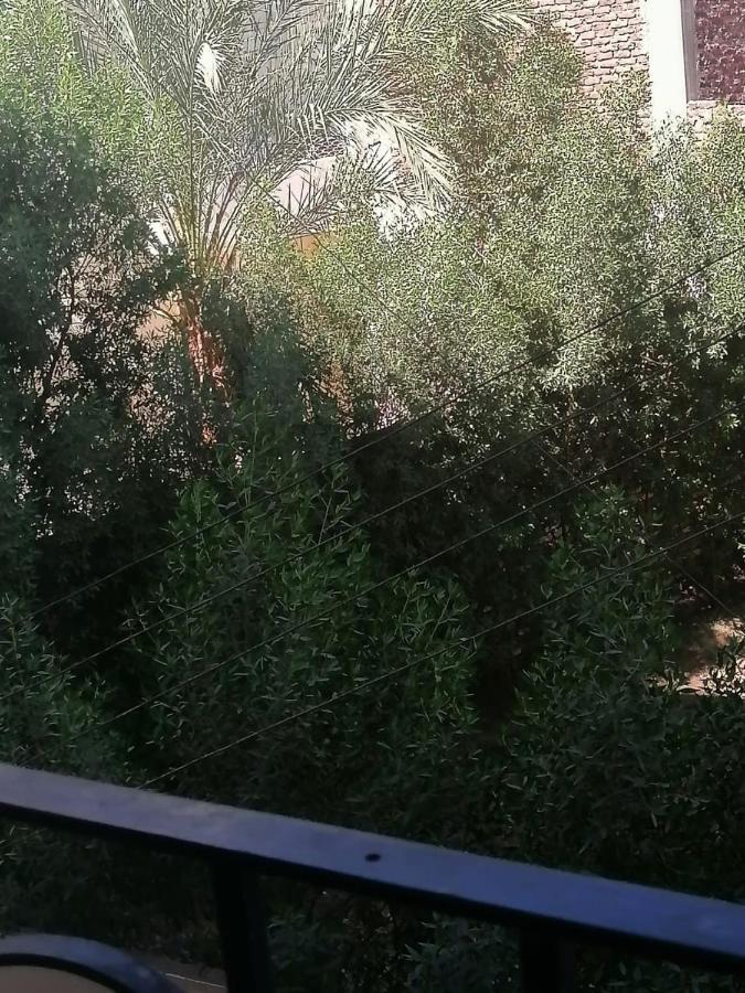 לוקסור Winter Guest House מראה חיצוני תמונה