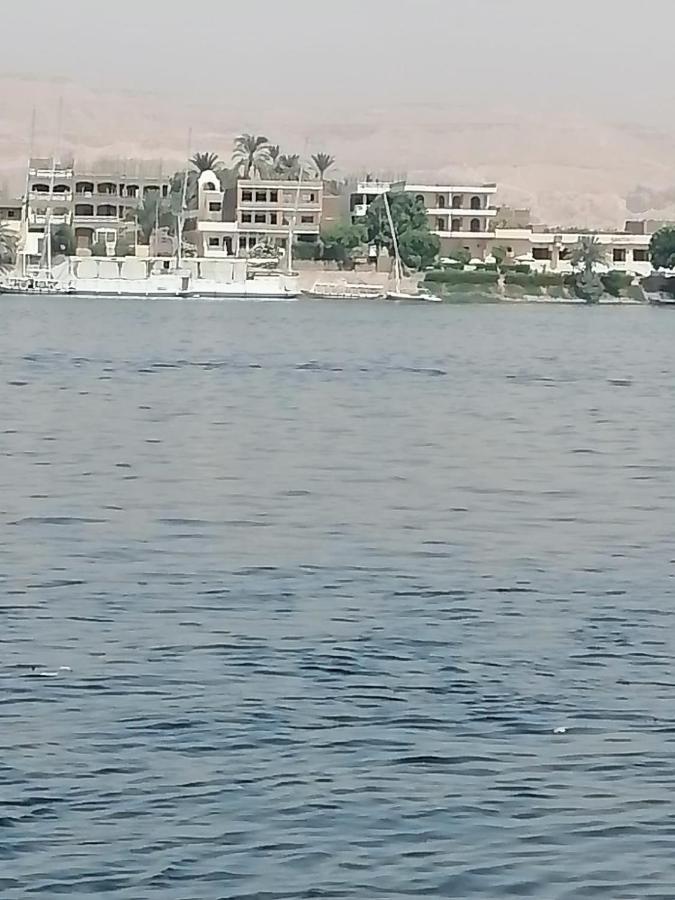 לוקסור Winter Guest House מראה חיצוני תמונה